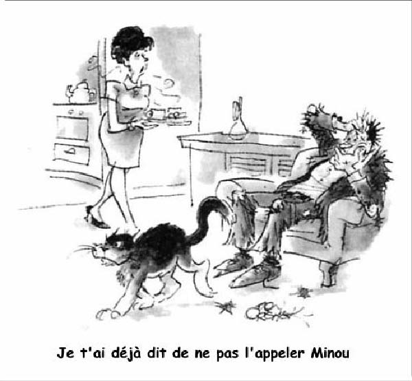 Ne pas l'appeler Minou-humourenvrac